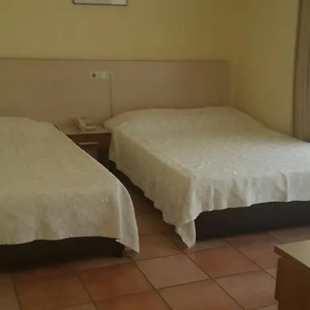 Готель Erciyes 2*